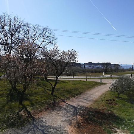 Guesthouse Porec Ngoại thất bức ảnh